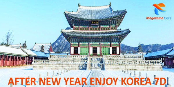 AFTER NEW YEAR ENJOY KOREA 7D